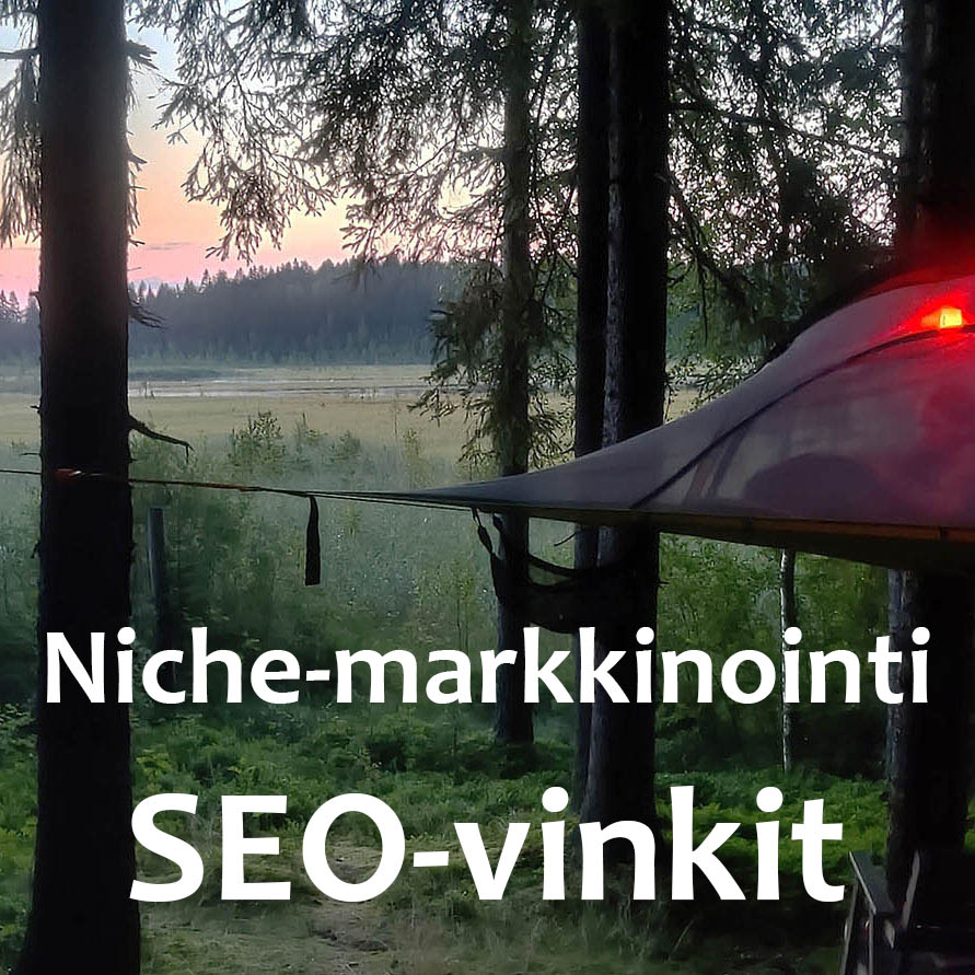 Kuvituskuva hakukoneoptimointia käsittelevään niche-markkinointiaiheiseen blogitekstiin