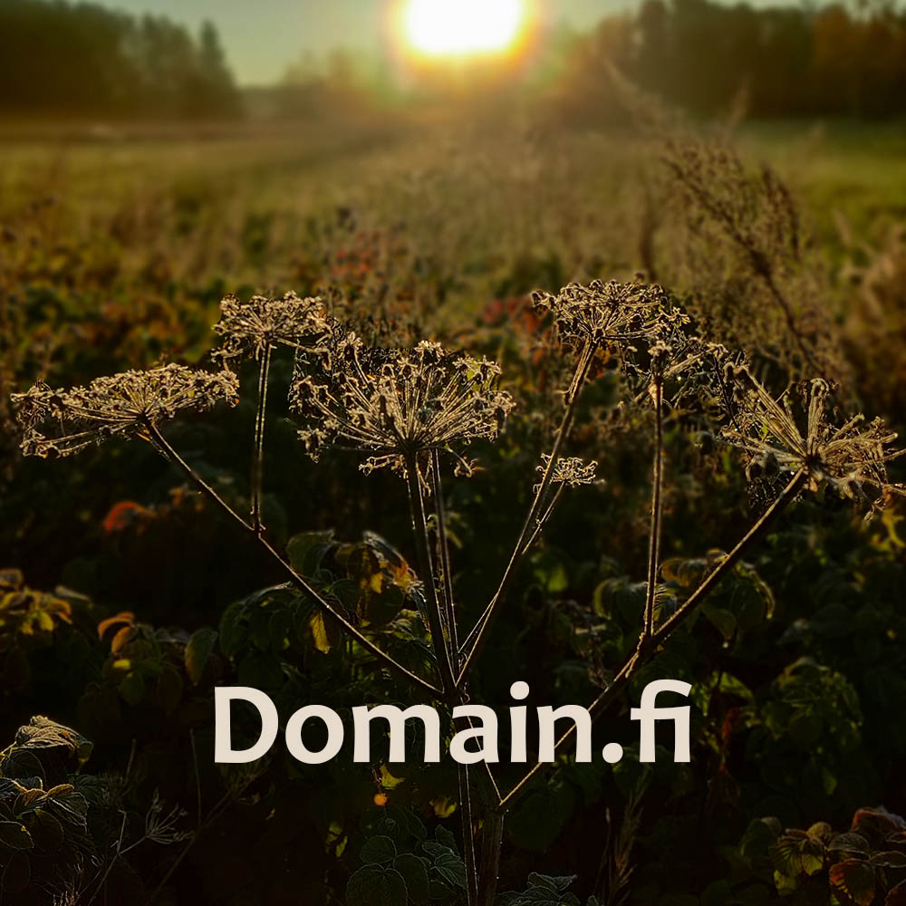 Domainhotelli-suosittelu-kuvituskuva